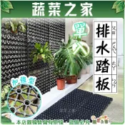 【蔬菜之家】加強型排水踏板 30x30 園藝造景 鹿角蕨上板 蘭花附生 隔水墊 塑膠棧板 陽台地板 浴室防滑 耐重200