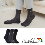 【Arnold Palmer 雨傘】典雅直紋刺繡絲光紳士襪│襪子│男襪│紳士襪│長襪│絲光棉│高含棉異味OUT