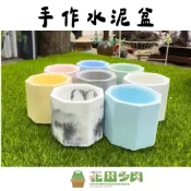 (店+)《花田多肉》🌵【手作水泥盆】1.5吋 水泥盆/園藝/陶瓷盆/花盆/花器/盆器