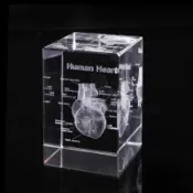 賽先生科學工廠｜透視心臟水晶紙鎮(360度觀賞體驗人體的奧妙)