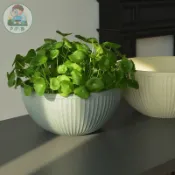 ✨加厚大號塑料花盆簡約家用桌麵水培金錢草水僊花養一葉蓮專用花盆