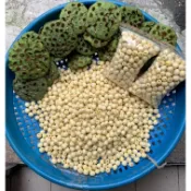現採台灣白河新鮮蓮子 1斤290元