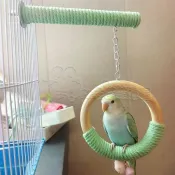 【防滑棉繩】鸚鵡彩色棉繩站桿吊環鞦韆組合 鸚鵡鞦韆 鸚鵡站台 鸚鵡站棍 鸚鵡腳環 鸚鵡吊床 盪鞦韆 鳥玩具