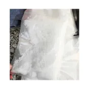(店+)GMO軟化鹽 現貨 特價 美國 Frigidaire 富及第 洗碗機專用 軟化鹽 軟水劑 1kg裝/袋