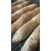 無花果樹枝麵包｜添加20%全麥粉｜酸種老麵×果乾核桃乳酪｜日本麵粉 × 自然發酵 × 咀嚼系｜日清麵粉、昭和麵粉｜