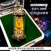 -泰國新世代十大名師 龍婆年 2559 超可愛金招財象神寶寶🌟【夢幻佛牌】
