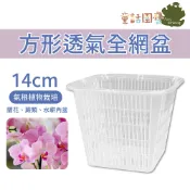 【花園夢想家】14cm方形透氣全網盆 氣根植物栽培 網盆 育苗網盆 蘭花 蕨類 水耕盆 水耕內盆 透氣 控根盆