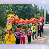 舞獅舞龍/舞龍舞獅道具 兒童舞龍 塑料龍頭 幼兒園舞台表演燙金龍布龍超輕龍燈