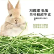 【萌寵健康牧草屋】農場原生栽種寵物牧草 苜蓿甜小麥草百幕達燕麥草提摩西一割二割 草香濃郁提升天竺鼠陸龜進食