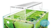 小郭水族-小螃蟹【ㄇ型跨式壓克力 LED燈 2尺 60cm】植物燈 跨燈 水草 生態缸 類ADA水之天空、千尋