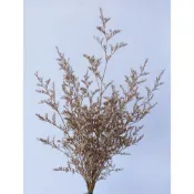 卡斯比亞（原色）小花束