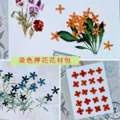 乾燥花 押花材料 染色熊貓仙丹 染色袖珍仙丹花 染色花 押花材料包 手作diy 壁畫 臺灣現貨
