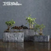 ✨星星百貨✨長方形水泥花盆室內花卉仿石紋榕樹長款陽臺花槽發財樹綠籮多肉盆