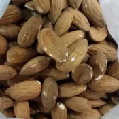 生杏仁果（鸚鵡飼料）
