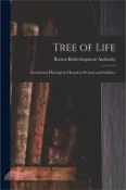 【三民網路書店】Tree of Life: Transitional Housing for Homeless Women and Children 作者：Boston Redevelopment Authority