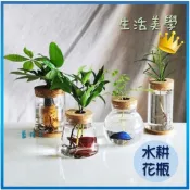 臺灣現貨✨B143 水耕瓶 水耕玻璃瓶 水耕容器 水耕花器 玻璃瓶 花瓶 花器 魚菜共生 水耕植物 盆栽 水耕空瓶 水