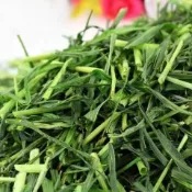 【滿滿牧草屋】長莖磨牙款寵物牧草 過篩 百慕達 提摩西一割 二割 苜蓿 燕麥草 甜小麥 粗纖維預防毛球天竺鼠陸龜專用草