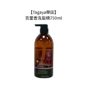 TAGAYA 華田 百里香洗髮精750ml 洗髮 控油 頭皮舒緩 沙龍 深層清潔 公司貨【堤緹美妍】