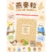 天然燕麥粒 鳥食鸚鵡 鳥類零食 鼠類 高纖穀物補充 燕麥粒【20049】