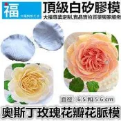 【奧斯汀玫瑰花】花脈模 參考糖花翻模巧克力模手工皂模食用色素筆色膏糖霜珠光粉翻糖蛋白粉色粉糖珠針筆葉脈