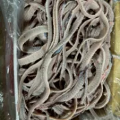 燉煮中藥燉湯補鈣首選｜『生鰻魚骨』洗淨～800G/包｜台灣養殖｜產地直銷｜冷凍真空｜歡迎批發～