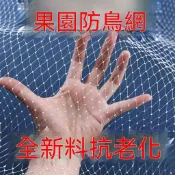 🔥【台中發貨】果園防鳥網 尼龍防鴿網 防麻雀網 大棚防護網 稻穀果樹網 尼龍網 養殖網 保護網 防鳥網 防護網 班甲網