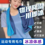 【桃園出貨🚗】夏季冰絲冷感運動毛巾戶外健身擦汗冰涼巾速幹降溫男女跑步冰絲巾