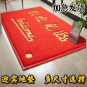 回響小舖 【特厚防滑】進門地墊 迎賓地墊 入戶門墊 玄關墊 地毯 防滑墊 加厚耐磨 吸水除塵 商鋪酒店電梯專用 歡迎光臨字樣