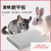 ❤桃園發貨⭐精選好物  兔龍貓荷蘭豬松鼠刺猬狐獴磨甲板 防抓傷磨爪板 磨牙石板兔刨地抓板