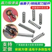 板栗夾子彈簧核桃夾剪刀彈簧核桃殼板栗子開孔器工具配 彈簧壓簧 DZF914