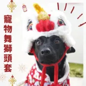 【小怪獸】蝦皮隔日🇹🇼狗狗の舞獅頭套🐲狗狗新年裝 寵物新年 寵物拜年裝 貓新年裝 寵物新年服 狗衣服 寵物變裝