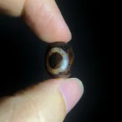 阿卡 日月星辰天珠 / 寶源天珠 桶珠手串 天珠圖騰 DIYdiy設計配件 天然瑪瑙玉髓礦石 藏傳佛教