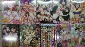 〈麗卡〉 新視界 魔之穴　2017.7.20新書 