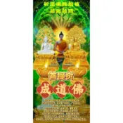 迦藍1月7日祈願佛陀加被，慈光普照 捐供菩提樹下成道佛 積累功德