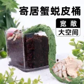 免運🔥寄居蟹專用沙天然墊材珊瑚沙菲律賓沙原生貝殼砂三湖慈鯛底砂魚缸造景高鈣潔淨爬寵飼養底沙無雜質