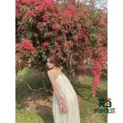 【同創】現貨 白洋裝 渡假 長洋裝 韓 囌色洋裝 小隻女 海邊洋裝 度假風 白色洋裝夏季海邊度假沙灘輑