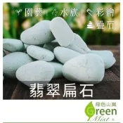 翡翠扁石 1公斤 綠扁石 綠色扁石 天然石頭 鵝卵石 溪砂 底砂 石頭彩繪 空氣鳳梨固定 園藝 水族 石頭【綠色山嵐】