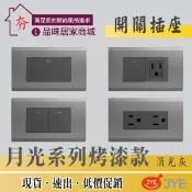 含稅 三晰電工 月光系列 經典烤漆 開關插座 工業風 接地雙插座 USB 電鈴 蓋板 盲蓋 電燈開關 消光灰 中一JYE