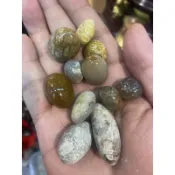 珊瑚玉原礦、珊瑚原礦、珊瑚碎石、菊花玉原礦、珊瑚菊花玉、超大顆、天然、超美、蝦皮獨賣