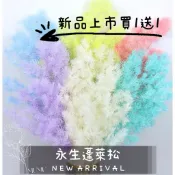 永生蓬萊松壽松  金色灰藍白 全網最低 天然花材 軟綿綿的蓬鬆感 手做DIY浮游花材料 MUMU花禮 大地農園