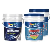 (店+)【得利】★20坪套組★A959 得利倍剋漏DIY版丨得利959丨保養施作用丨防水漆丨防水丨隔熱漆丨屋頂防水(防水隔熱 長效防水)