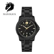 MANDLICK 曼德利克 德國品牌  永恆系列簡約精鋼帶男士腕錶-金黑