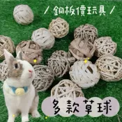 哈密兔事·牧草球｜草香滿滿 兔子玩具草食玩具 兔子玩具防無聊 龍貓玩具 兔子解悶 磨牙草球倉鼠啃咬兔子啃咬零食 鼠兔用品