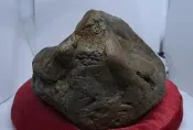 小壽桃 (可議價) 黃蠟石 黑蠟石 雅石 奇石 台灣黃蠟石 瑞芳雙溪 擺件 Taiwan Ston