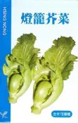 種子王國 燈籠芥菜 全可栽種 【芥菜類種子】興農牌中包裝 每包約4ml