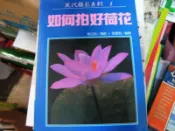 【萬金喵二手書店】絕版書《如何拍好荷花_張豐榮_賴吉欽_冠倫》#44HKC4