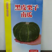 #興農牌 #種子 #「黑皮栗子南瓜」