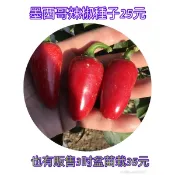 墨西哥辣椒/子彈辣椒/果厚/辣椒/料理/食用蔬菜/調味料/蔬果/種子包