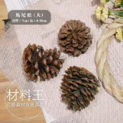 【材料王批發｜台灣現貨】聖誕節 松果 毬果 |  8-10公分（大） | 聖誕樹裝飾 花圈裝飾 落羽松 乾燥花 乾燥素材
