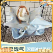 【夏季清涼睡窩】荷蘭豬雙層冰絲吊床 鸚鵡鳥窩 蜜袋鼯 倉鼠 松鼠 花枝鼠 睡窩 寵物窩 冰絲吊床